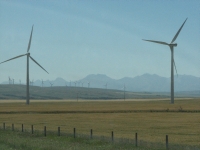 Windmill Farm